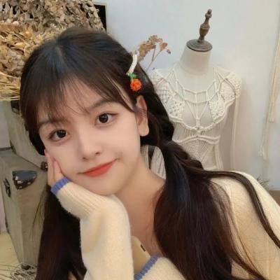 朋友与鳄鱼海报